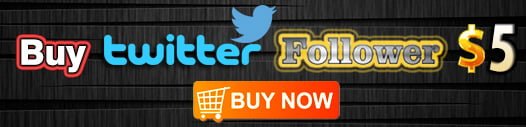 buy-twitter-followers-for-$5