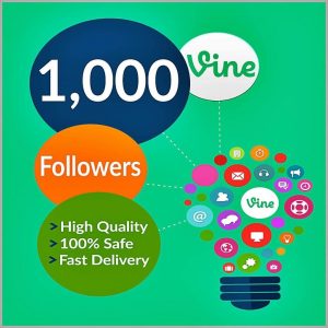 Buy 1000 vine followers