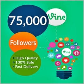 Buy 75000 vine followers