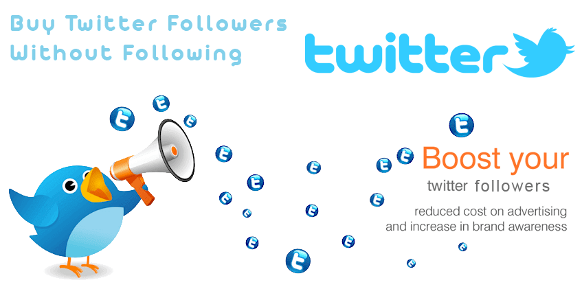 Buy Twitter Followers Without Following