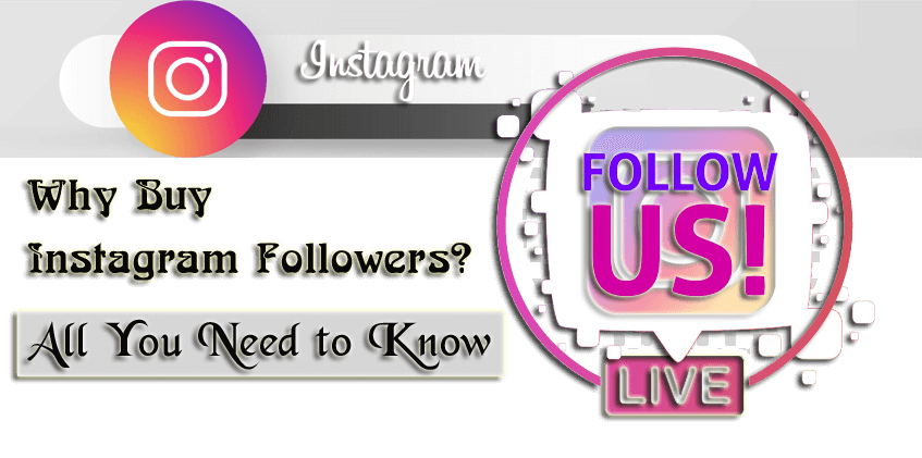 Buy Instagram Followers
