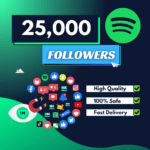 25000 Spotify Followers