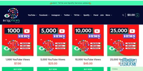 Visit the YouTubeBulkViews Website