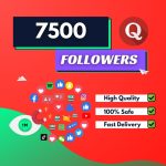 Buy 7500 Quora Followers